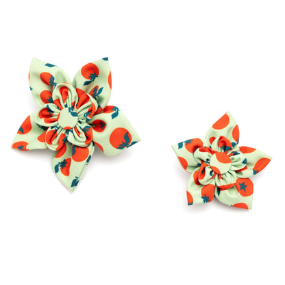 Tomatoes Dog Flower – Polyester, Green, Sizes S, L