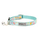 Life's a Beach Cat Collar – Mint Green, Size One Size