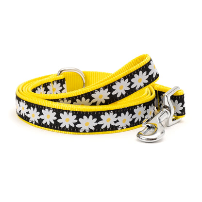 Lazy Daisy black ribbon and nylon dog leash, coiled leash