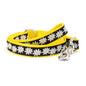 Lazy Daisy black ribbon and nylon dog leash, coiled leash