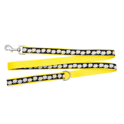 Lazy Daisy black ribbon and nylon dog leash, product view 2