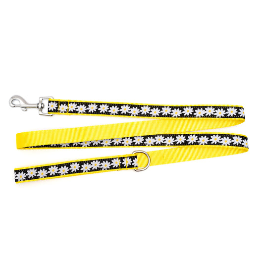 Lazy Daisy black ribbon and nylon dog leash, product view 2
