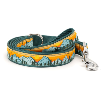 Mountain Range multicolored ribbon and nylon dog leash, coiled leash