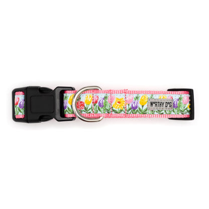 Hello Spring Dog Collar – Blue, Sizes XS–XL