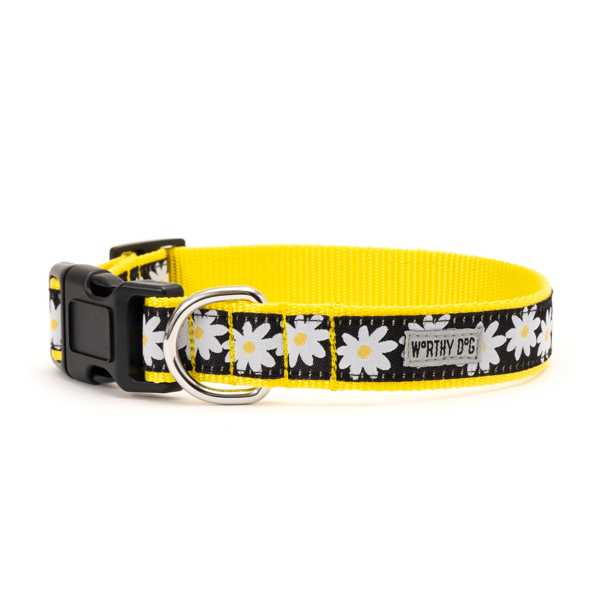 Black Daisy Nylon Dog Collar in black, product view 2