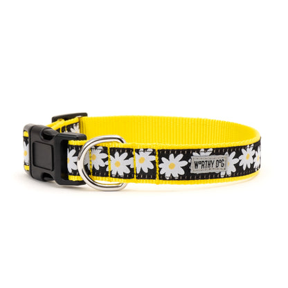 Black Daisy Nylon Dog Collar in black, product view 2