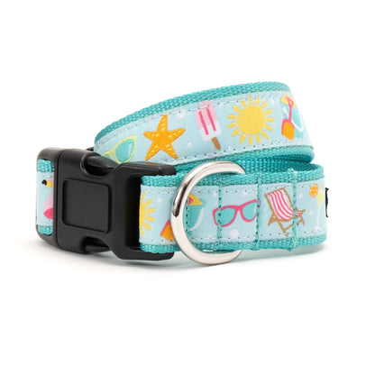 Life's a Beach Dog Collar – Mint Green, Sizes XS–XL