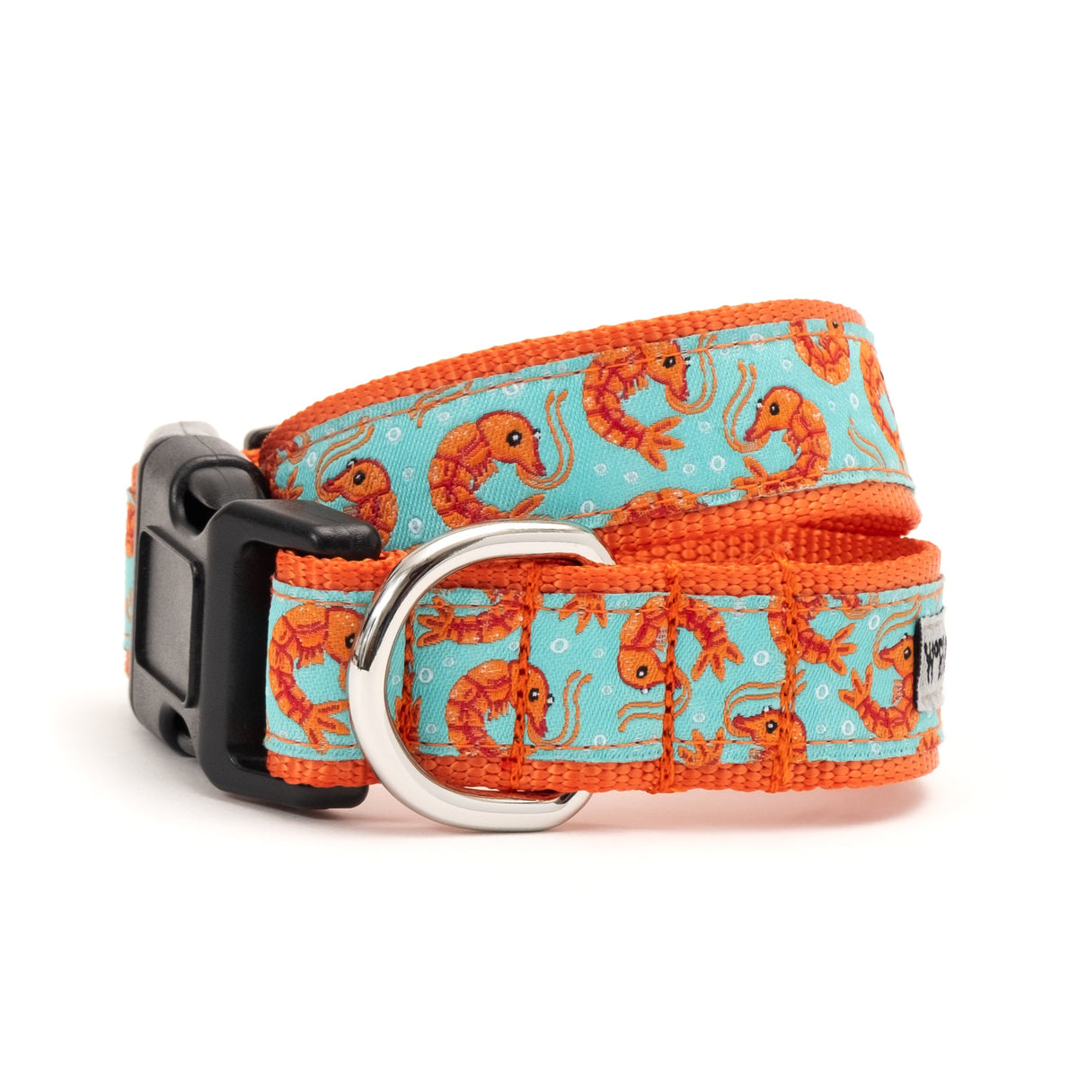 Shrimp Dog Collar – Blue, Sizes XS–XL
