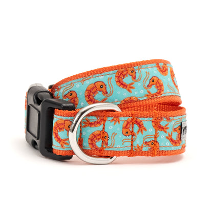 Shrimp Dog Collar – Blue, Sizes XS–XL
