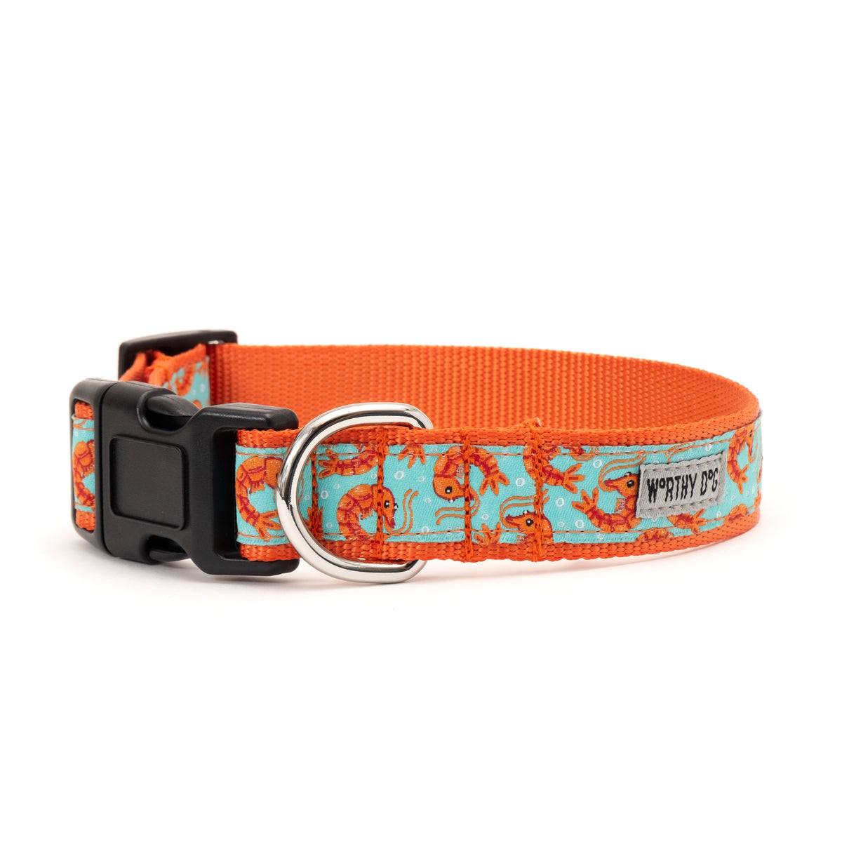 Shrimp Dog Collar – Blue, Sizes XS–XL
