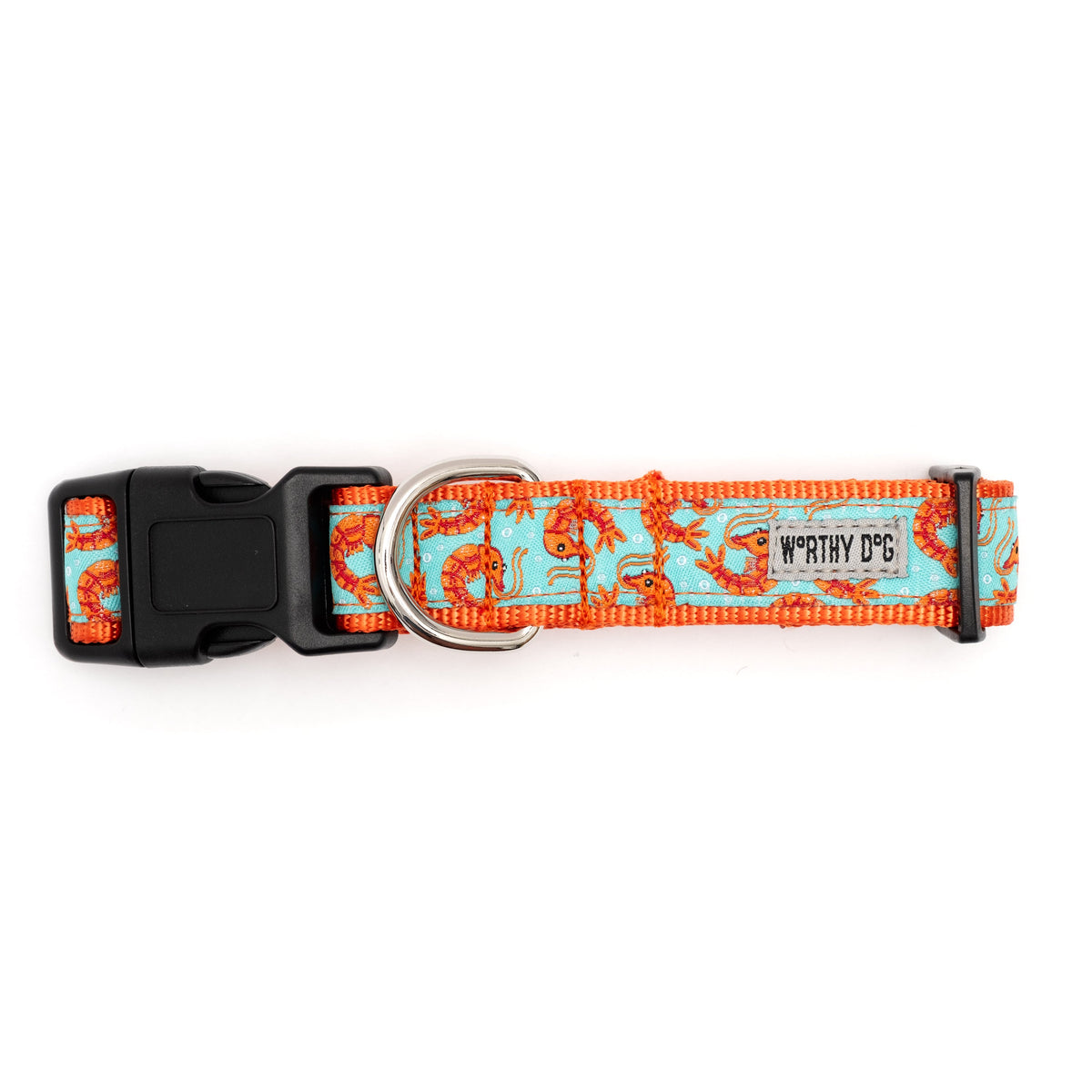 Shrimp Dog Collar – Blue, Sizes XS–XL