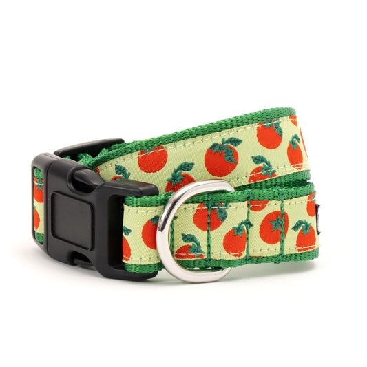 Tomatoes Dog Collar – Green, Sizes XS–XL