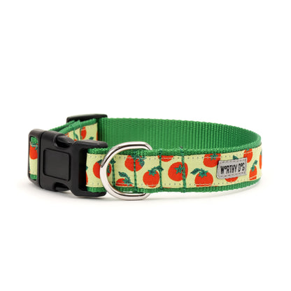 Tomatoes Dog Collar – Green, Sizes XS–XL