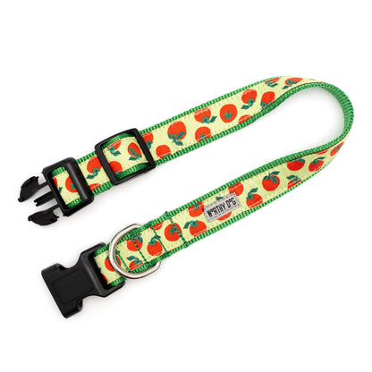Tomatoes Dog Collar – Green, Sizes XS–XL