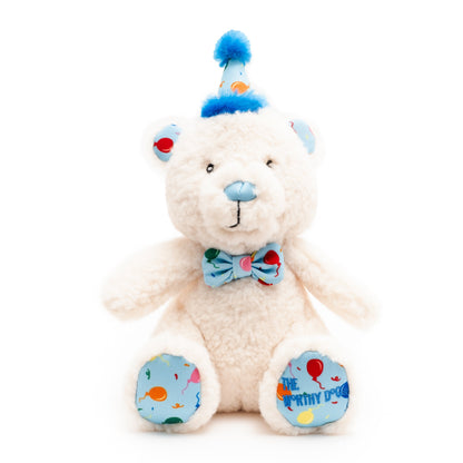 Birthday Bear Dog Toy – Blue & Pink, Size One Size