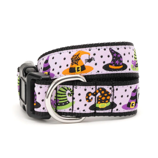 Colorful witch hats on pale purple ribbon Halloween dog collar, front view