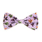 Bewitched Dog Bow Tie – Polyester, Purple, Sizes S, L