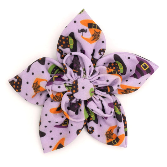 Bewitched Dog Flower – Polyester, Purple, Sizes S, L