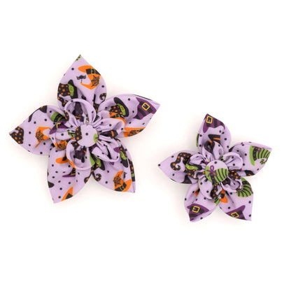 Bewitched Dog Flower – Polyester, Purple, Sizes S, L