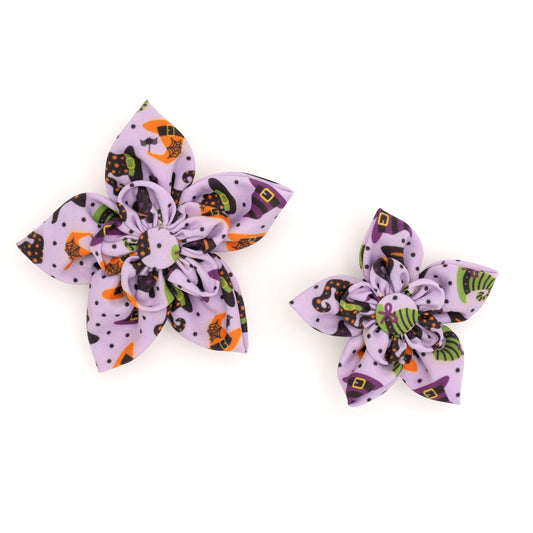 Bewitched Dog Flower – Polyester, Purple, Sizes S, L