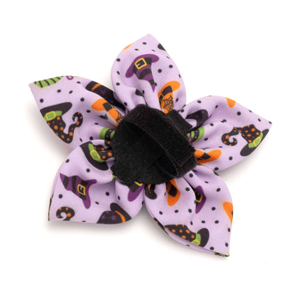 Bewitched Dog Flower – Polyester, Purple, Sizes S, L