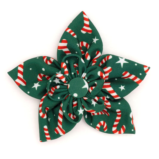 Candy Cane Dog Flower – Polyester, Green, Sizes S, L