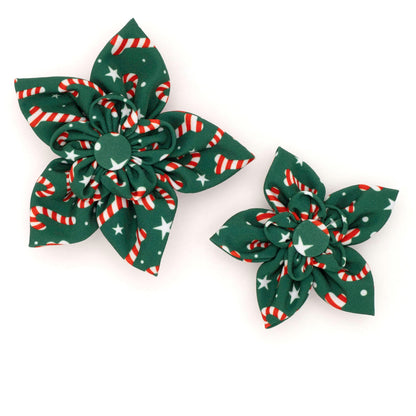 Candy Cane Dog Flower – Polyester, Green, Sizes S, L