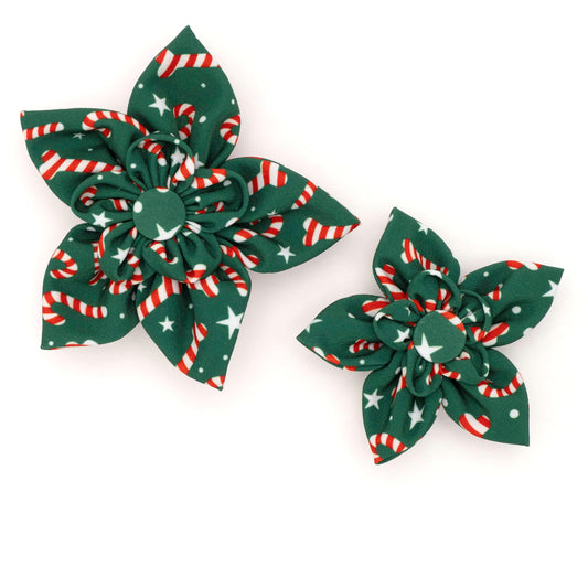 Candy Cane Dog Flower – Polyester, Green, Sizes S, L