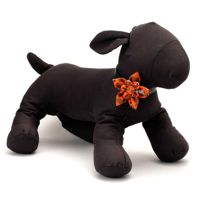 Halloween Bones Dog Flower – Polyester, Orange, Sizes S, L