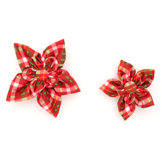 Holiday Plaid Dog Flower – Polyester, Multicolored, Sizes S, L