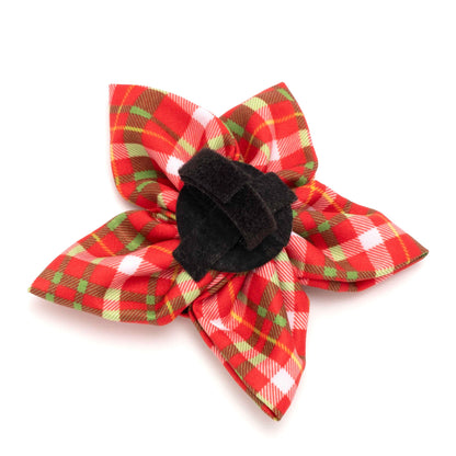 Holiday Plaid Dog Flower – Polyester, Multicolored, Sizes S, L