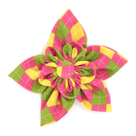 Bright Argyle Dog Flower – Polyester, Multicolored, Sizes S, L