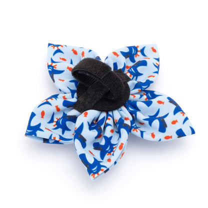 Sharkuterie Dog Flower – Polyester, Blue, Sizes S, L