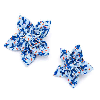 Sharkuterie Dog Flower – Polyester, Blue, Sizes S, L