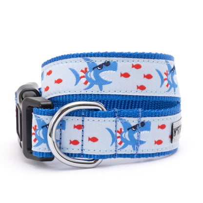 Blue Shark Nylon Dog Collar in blue, main product view