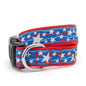 Star Spangled Dog Dog Collar – Red/White/Blue, Sizes XS–XL