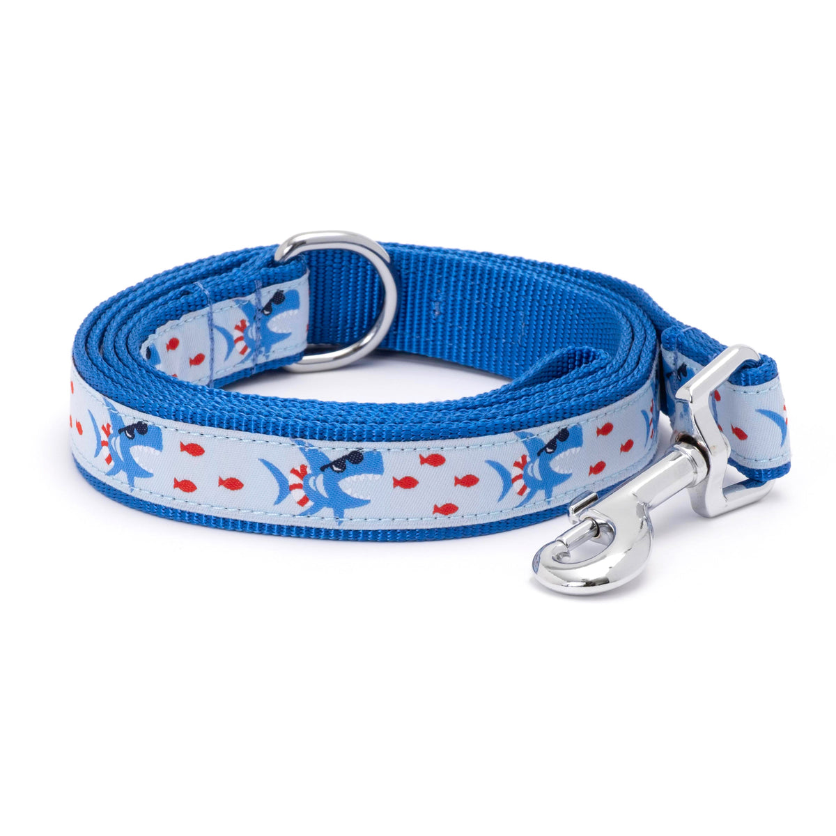Sharkuterie blue ribbon and nylon dog leash, coiled leash