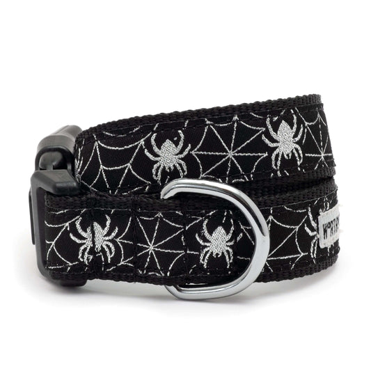 White spiders and webs on black ribbon Halloween dog collar, front view