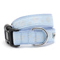 Let It Snow Dog Dog Collar – Blue & Pink, Sizes XS–XL