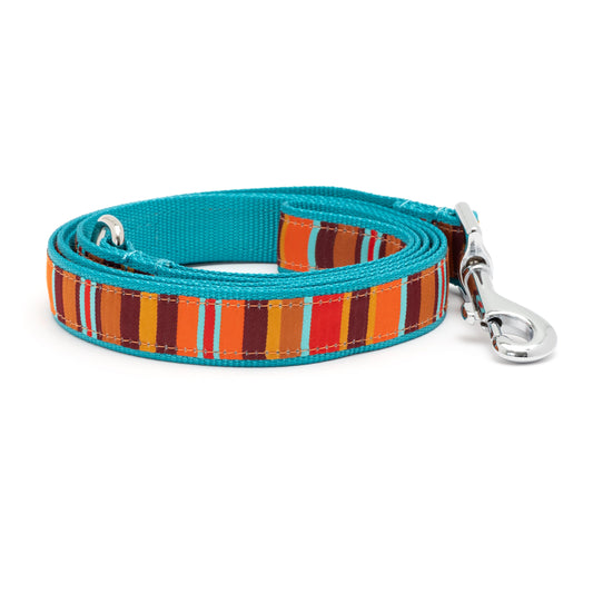 Fall Fiesta Stripe Dog Leash – Multicolored, Sizes S, L