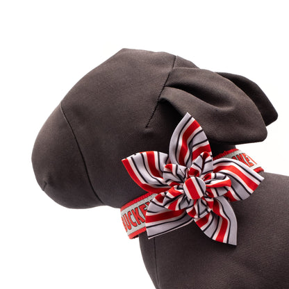 Ohio State Helmet Stripe Dog Flower – Polyester, Gray, Sizes S, L