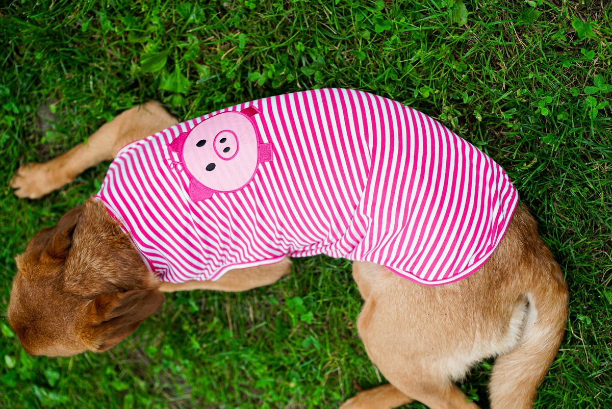 Wilbur Pig Dog Tank Top – Cotton, Pink/White, Sizes XS–XXL