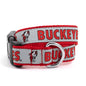 Ohio State Brutus Buckeye Dog Collar – Scarlet, Sizes S–L