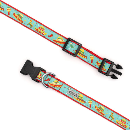 Cinco de Mayo Dog Collar – Turquoise, Sizes XS–XL