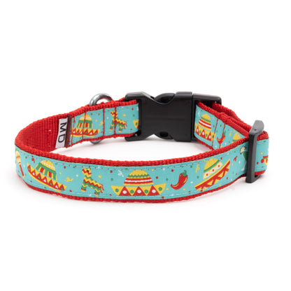 Cinco de Mayo Dog Collar – Turquoise, Sizes XS–XL
