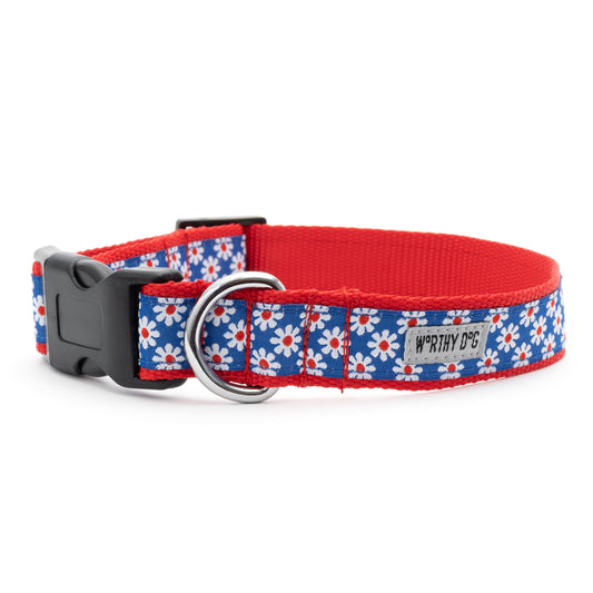 Daisies Dog Collar – Navy, Sizes XS–XL