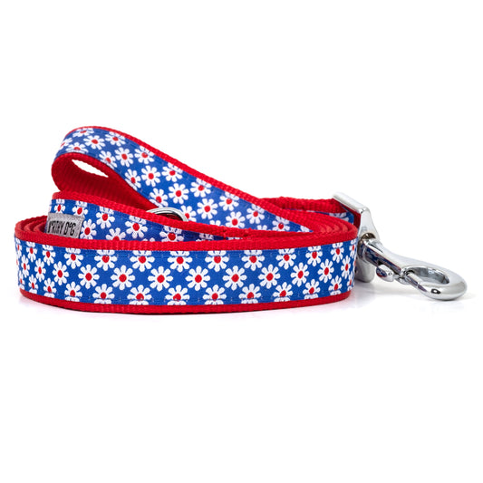 Small white daisies on navy blue ribbon nylon dog leash, coiled