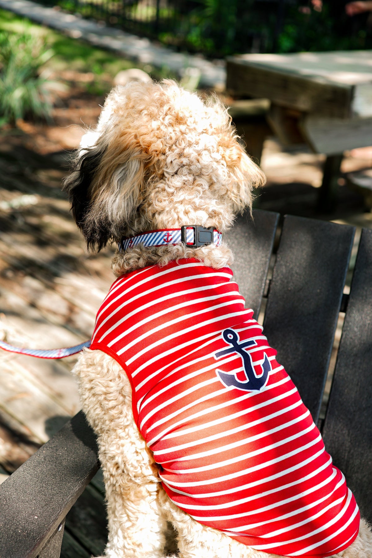 Navy Stripe Anchors Dog Collar – Navy, Sizes XS–XL