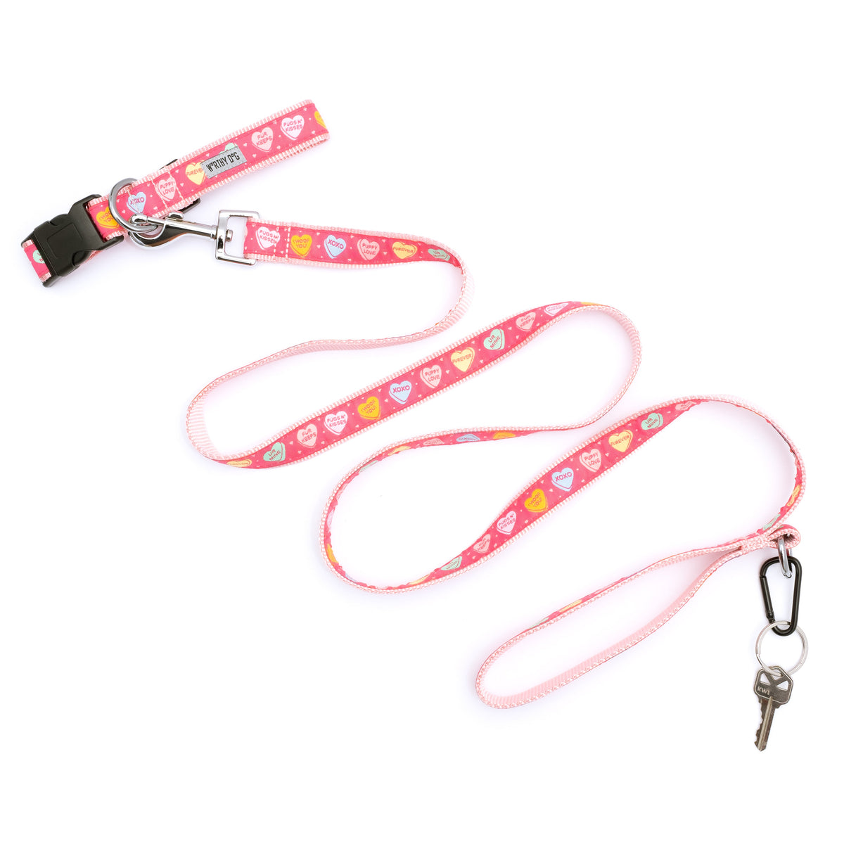 Colorful conversation-heart shapes on pink ribbon nylon dog leash, shown with matching accessories; accessories not included