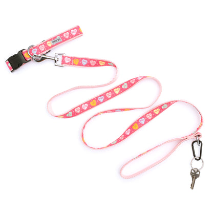 Colorful conversation-heart shapes on pink ribbon nylon dog leash, shown with matching accessories; accessories not included